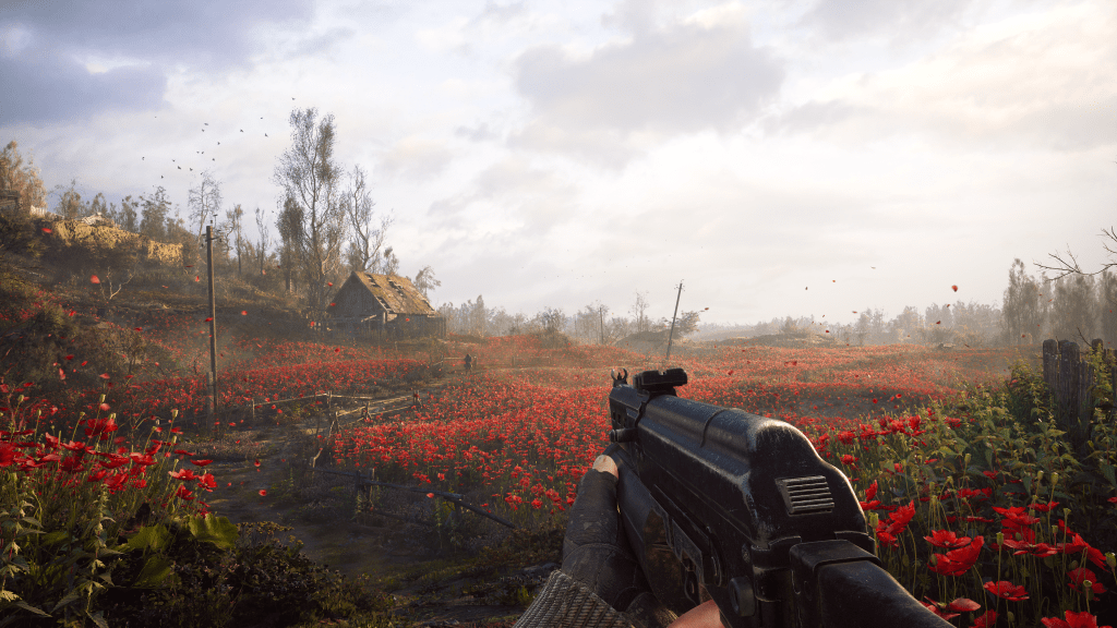 Como completar os campos de papoula em Stalker 2