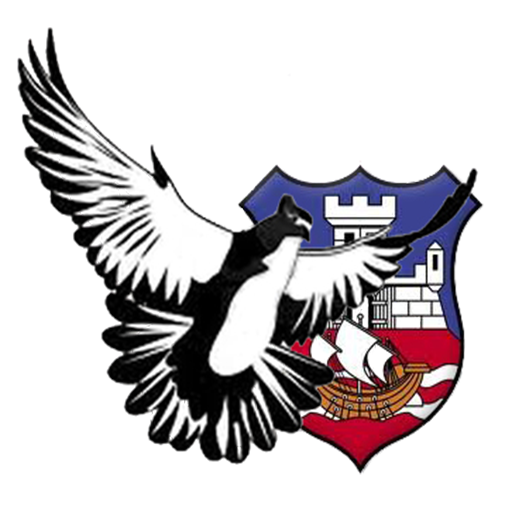 Golubarski Savez Srbije (Vreme