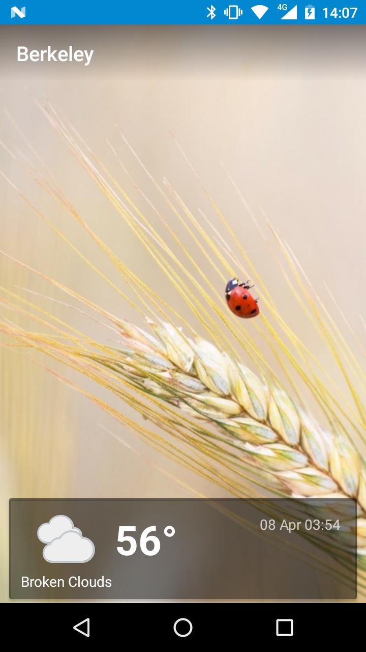 Berkeley, California - weather and more