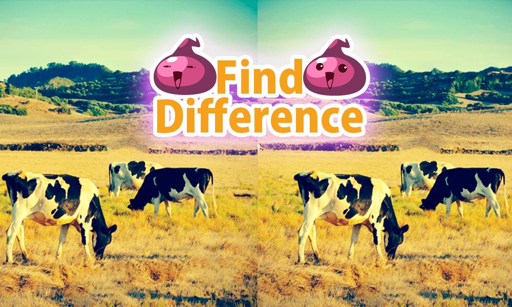 Find the Difference 21