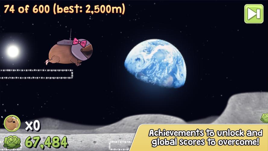 Cobi Run