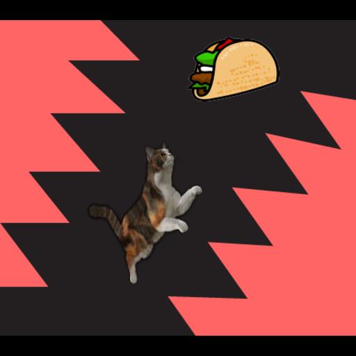 Gato De Taco!
