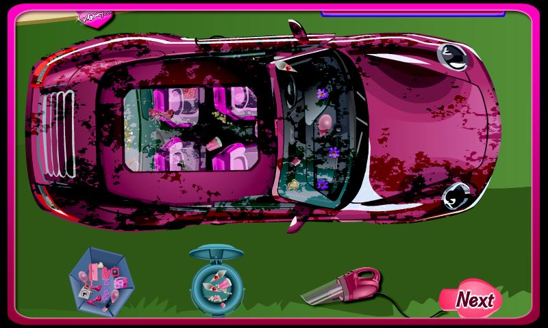 Cleaning Princess Car